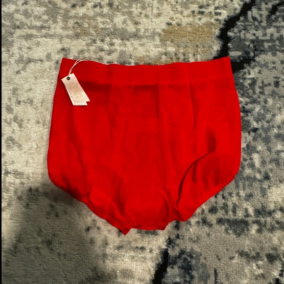 Free people we are hah hi waisted panties - Picture 4 of 5